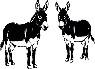Stylized black and white donkey illustration with detailed shading, expressive eyes, upright ears, symmetrical pose, perfect for educational and decorative use.