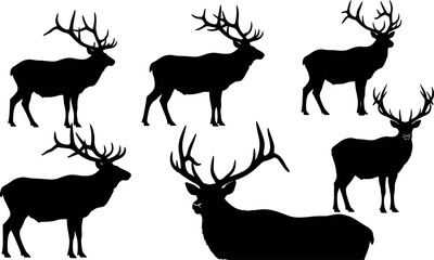 Wild elk silhouettes with antlers in various poses, standing and lying down, perfect for wildlife, nature, and animal vector themes.