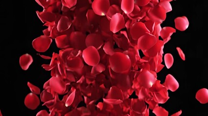 Red rose petals suspended in mid air, evoking fleeting moments of love, romance, and ephemeral joy, perfect for representing concepts related to relationships, weddings, anniversaries.