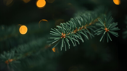 A close up of a pine branch with blurred lights in the background creating a festive mood