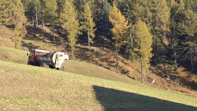 The manure spreader machine spreads fertilizer evenly over the field.
