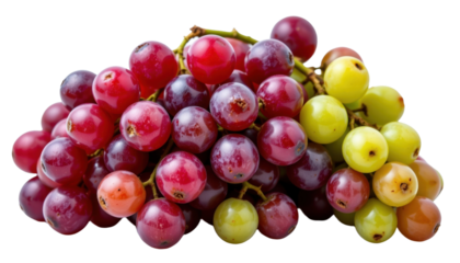 Harvesting a delicious cluster of fresh grapes vineyard food photography natural setting close-up taste appeal
