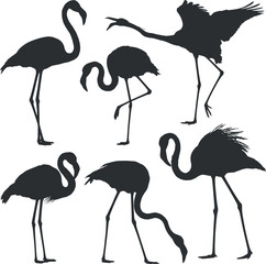 Elegant Flamingo Silhouette Collection Featuring Tropical Birds in Various Poses