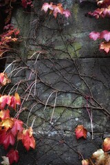 autumn leaves on the wall