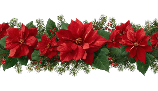 PNG Festive poinsettia garland decoration