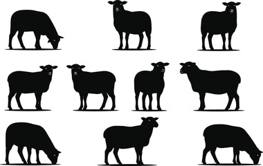 Sheep silhouettes collection, grazing and standing poses, farm livestock animals, black vector illustration, rural agriculture design isolated on white background