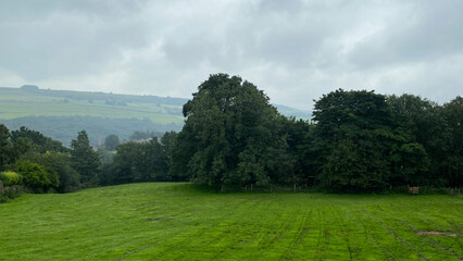 Rain drenched fields and scattered trees lie under a brooding sky, while the far hills bring a quiet sense of depth and calm in Upperthong, Yorkshire, UK.

