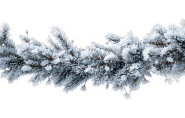 PNG Frosted pine branch decoration