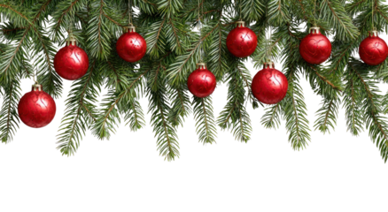 PNG Festive red ornaments on branches.
