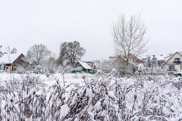 A quiet rural scene shows homes, bare trees, and overgrown fields covered in fresh snow. The peaceful winter setting reflects calm seasonal atmosphere, natural simplicity, and subtle holiday charm in 