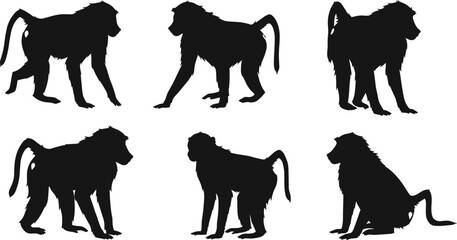 Baboon silhouette illustrations, black vector, walking pose, sitting posture, standing stance, side profile, animal design, character set