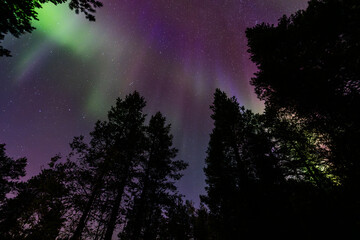 Fototapeta premium Northern lights in Kiruna, Sweden, reflecting on calm water in September with stars and forest in the background.