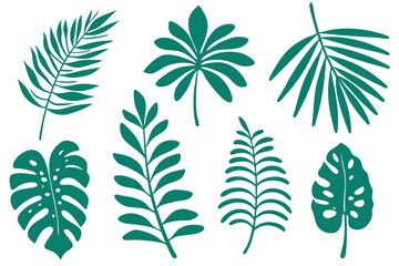 Green tropical leaf collection including fern, monstera, palm, and other leaves are on display