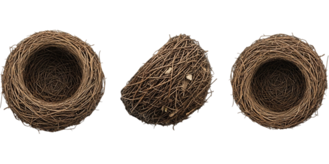 Three Brown Bird Nests Crafted From Twigs Symbolizing Home Habitat and New Beginnings on transparent background