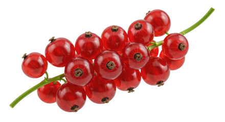 Vibrant red currant berries isolated PNG, fresh and juicy fruit on transparent background for healthy eating and summer designs