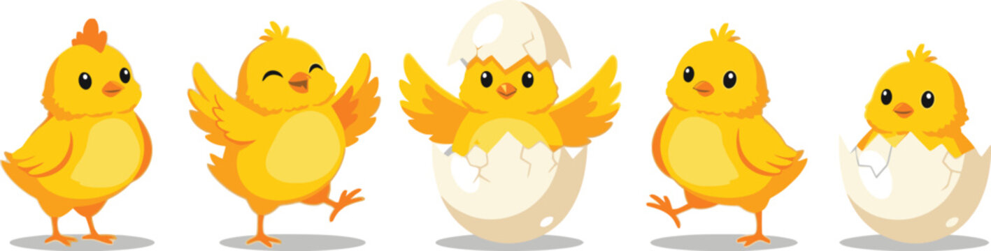 Cute easter chick vector illustration for spring holiday design and easter egg hunt graphic element
