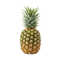 Fototapeta premium Single ripe pineapple 