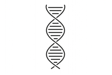 dna strand on white background PNG