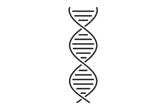 dna strand on white background PNG