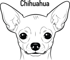 Chihuahua Dog Breed Line Art Vector Portrait Illustration Design Pet Animal Lover Gift Chihuahua Lover Puppy Ears Drawing Minimalist Cute Face Outline