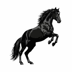 Majestic Black Stallion Rearing Up, A Powerful Equine Illustration.
