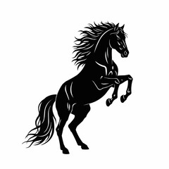 Majestic Black Horse Rearing Up on Hind Legs.