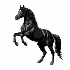 Majestic black stallion rearing up with powerful muscles and grace.