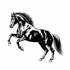 Majestic Black Horse Rearing Up in Dynamic Pose.