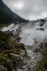 Sulphur vents in Owakudani, Hakone