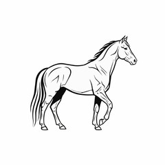 Elegant black and white line art drawing of a standing horse.