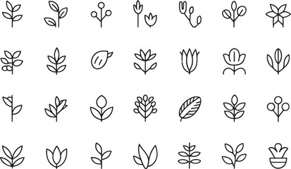 Fototapeta premium Botanical Line Art Icons Collection Of Leaves Flowers and Berries Keywords: botanical, plant, leaf