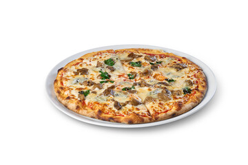 Round italian pizza on a white plate with rich melted cheese and toppings