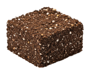 Baking process square coffee cake kitchen food home isolated on transparent background