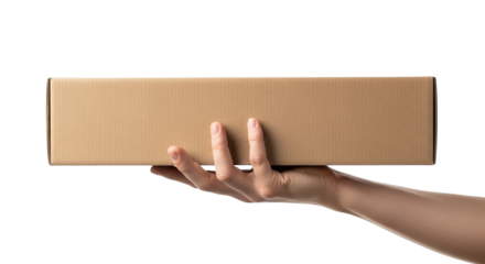 Hand holding a blank brown cardboard box