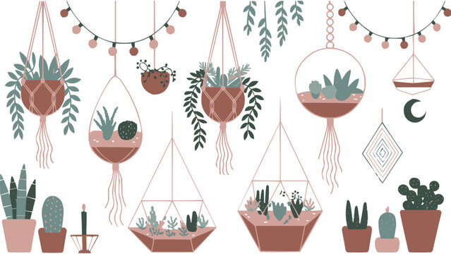 Boho minimalist illustration of hanging houseplants and succulents in macrame planters with geometric terrariums and home decor elements