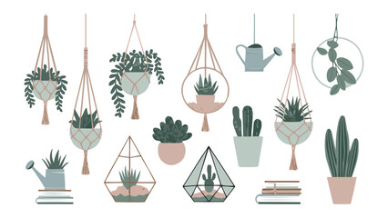 Modern flat illustration of indoor houseplants in pots and hanging planters with minimalist boho home decor style on white background