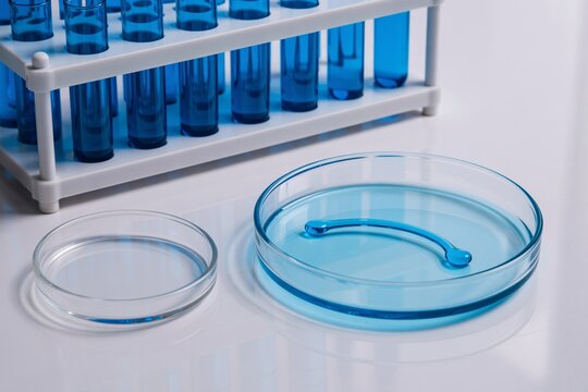 Science lab petri dishes and test tubes for medical research and analysis - Powered by Adobe