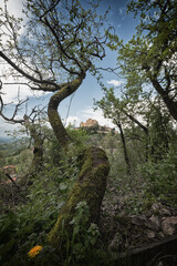 Castello di Rossena
