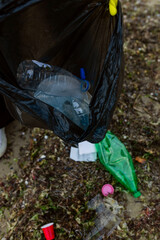 Volunteer collecting plastic waste and litter into a black trash bag during beach cleanup, highlighting pollution, environmental protection, sustainability, and eco awareness.