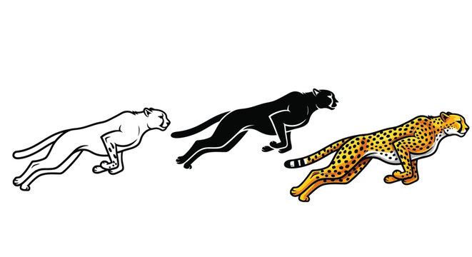 Illustration of three running cheetahs in outline, silhouette, and full color styles, showcasing speed