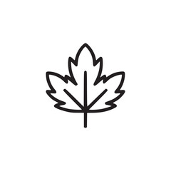 A simple line drawing of a maple leaf with distinct lobes and veins on a plain white background