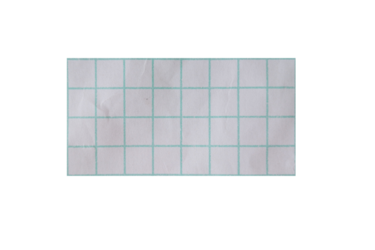 White graph paper with green grid lines, close-up textured background isolated on transparent background