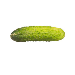 Green fresh cucumber on isolated background