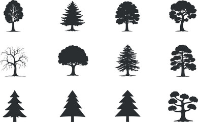 Collection of Diverse Tree Silhouettes Featuring Evergreen and Deciduous Forests