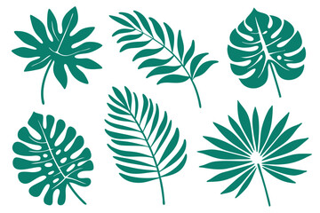 Several lush, green, tropical foliage variations are scattered across a clean white background