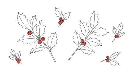 Hand drawn holly branch illustration with red berry