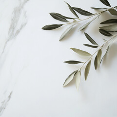 Elegant olive branch on marble surface with minimalist design and copy space
