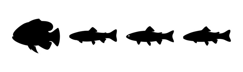 Black fish silhouettes marine life animal icons collection