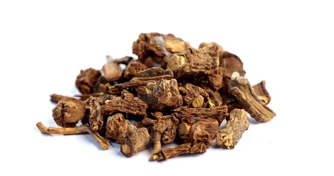 Syplocos racemosa, Lodhra is an Ayurvedic herb used in bleeding disorders, diarrhea eye disorders