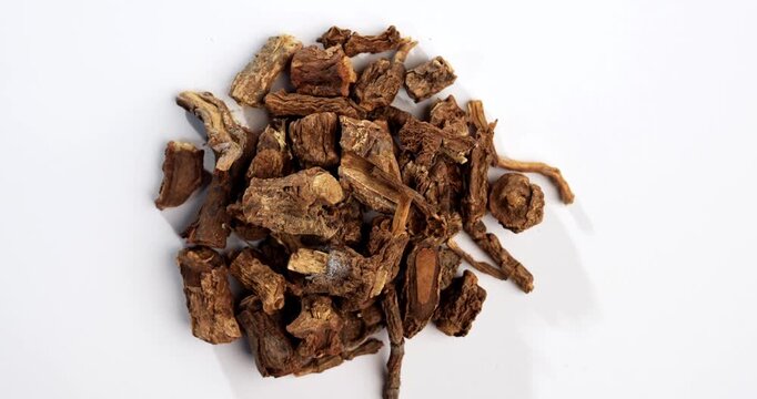 Syplocos racemosa, Lodhra is an Ayurvedic herb used in bleeding disorders, diarrhea eye disorders